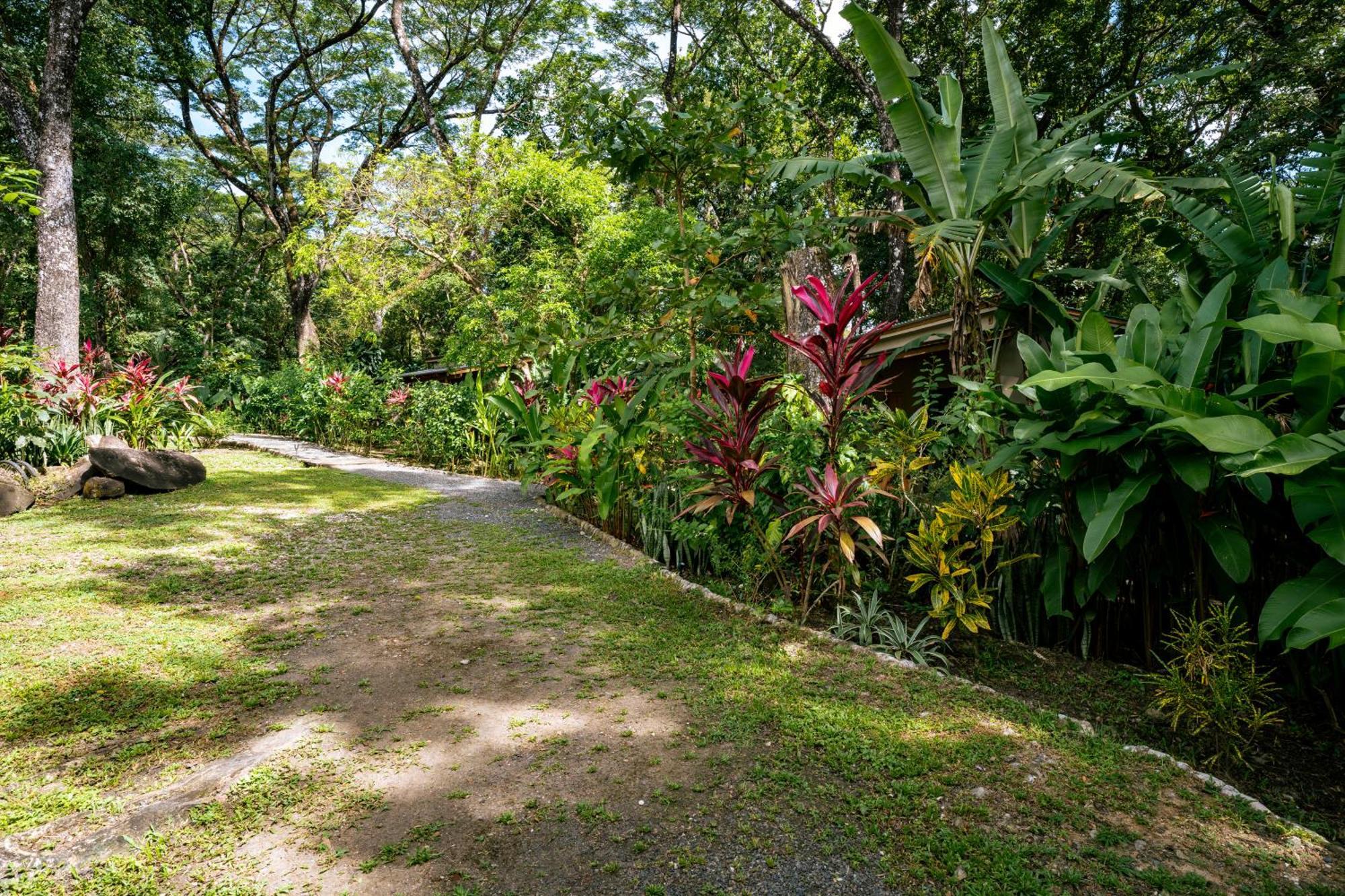 Feeling Trees Jungle Lodge Cabuya  Exterior foto