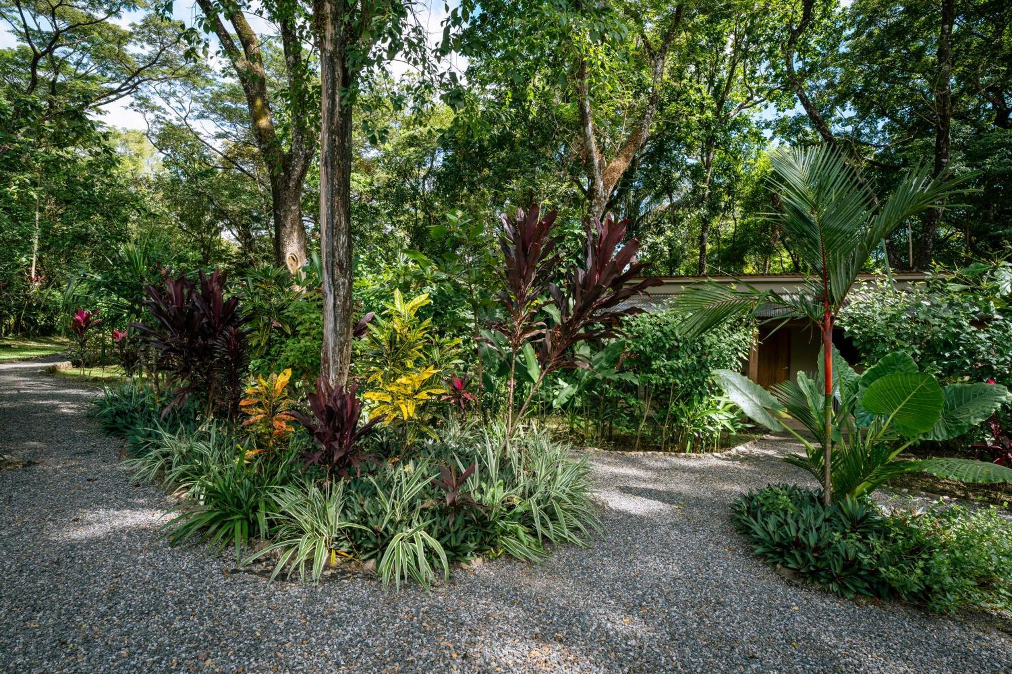 Feeling Trees Jungle Lodge Cabuya  Exterior foto