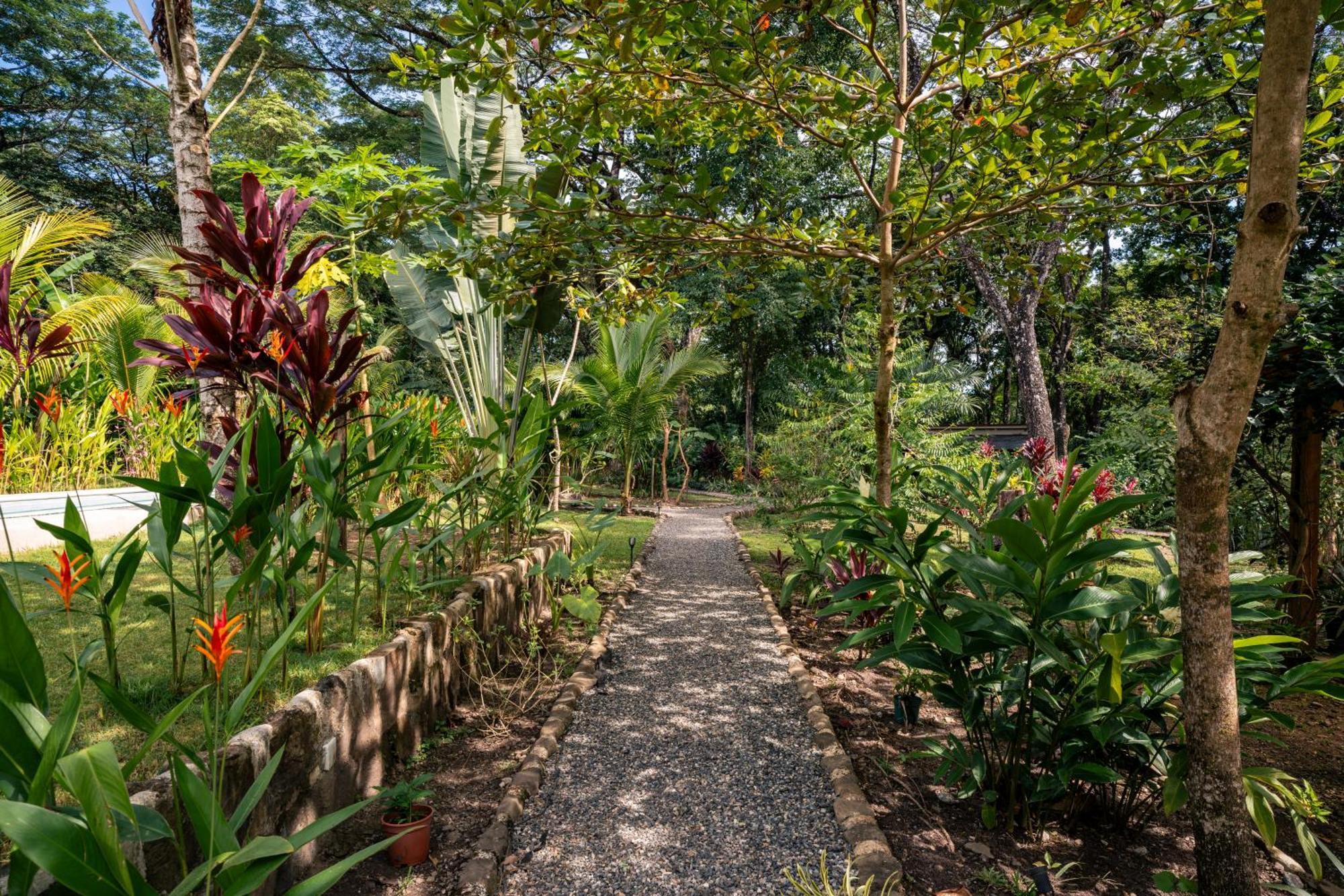 Feeling Trees Jungle Lodge Cabuya  Exterior foto