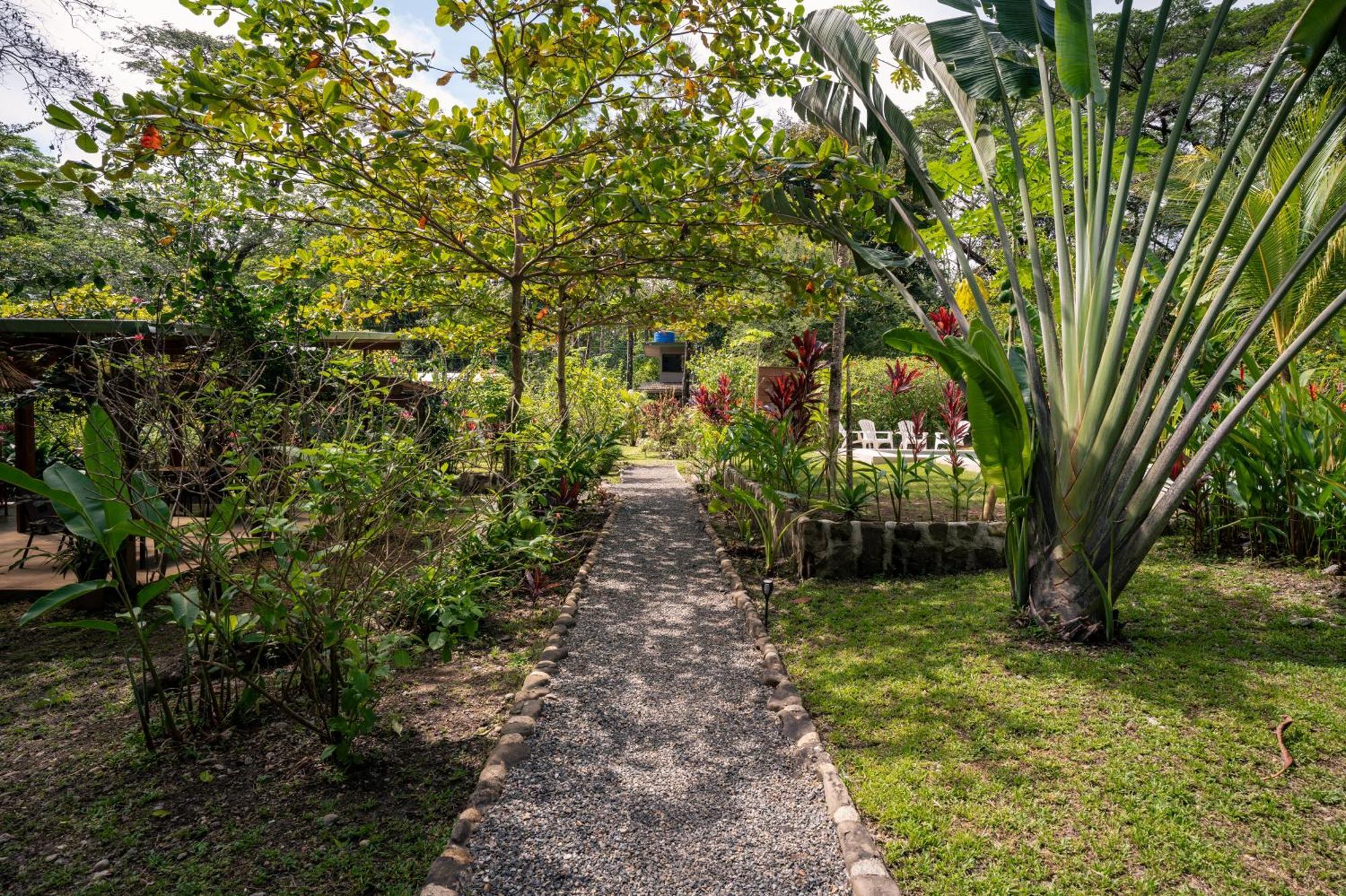 Feeling Trees Jungle Lodge Cabuya  Exterior foto