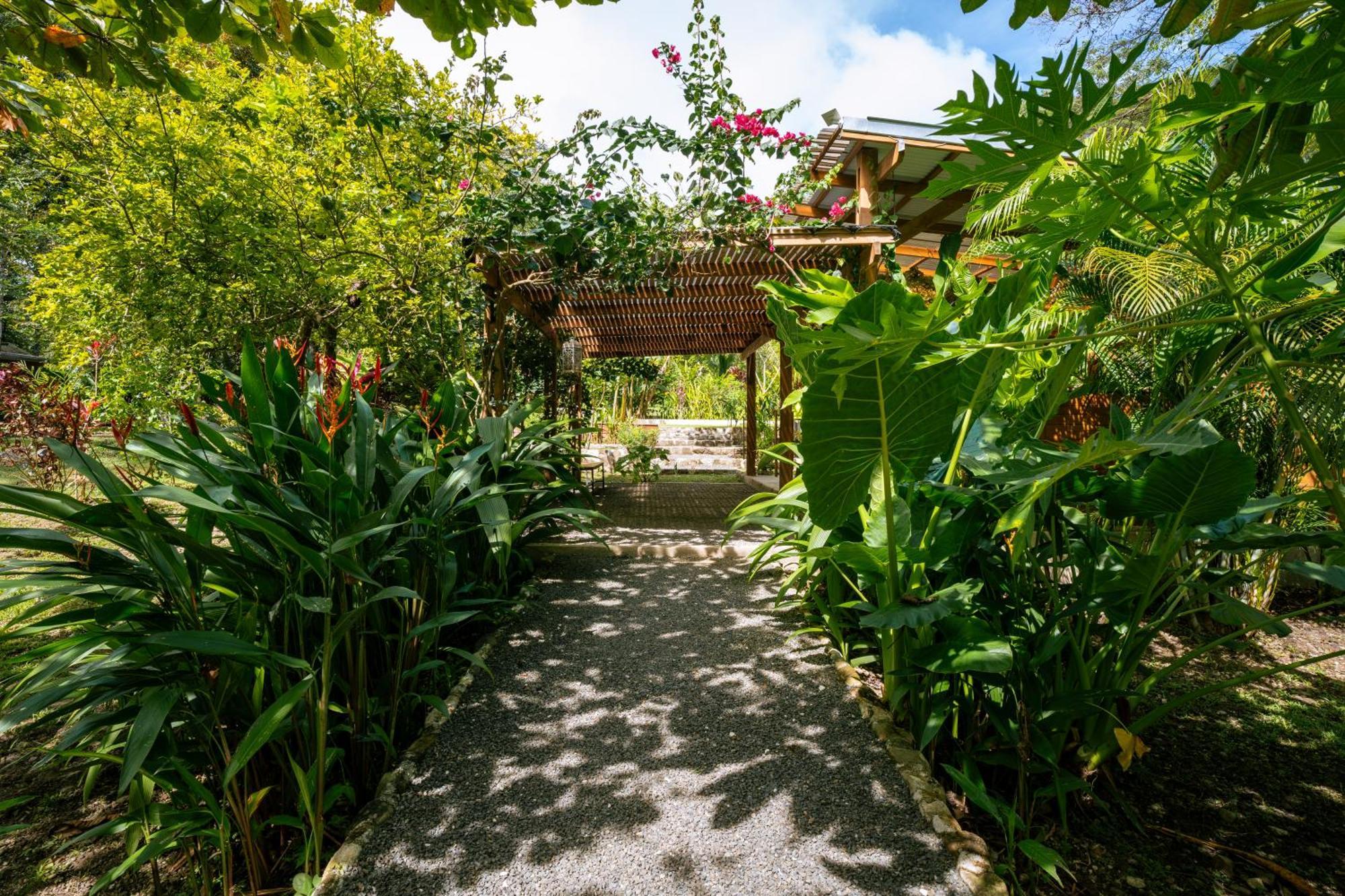 Feeling Trees Jungle Lodge Cabuya  Exterior foto