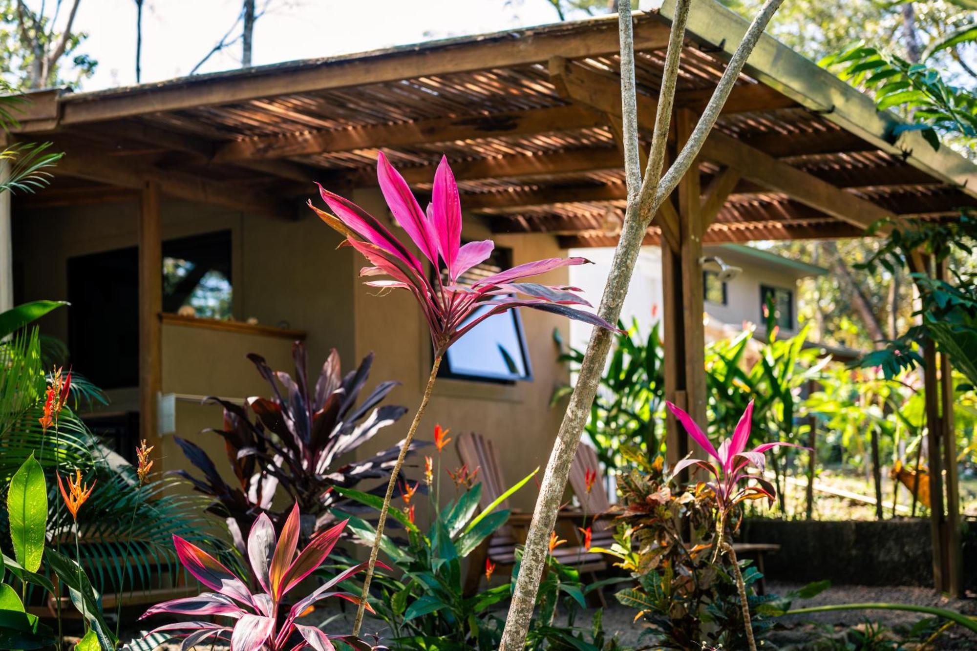 Feeling Trees Jungle Lodge Cabuya  Exterior foto