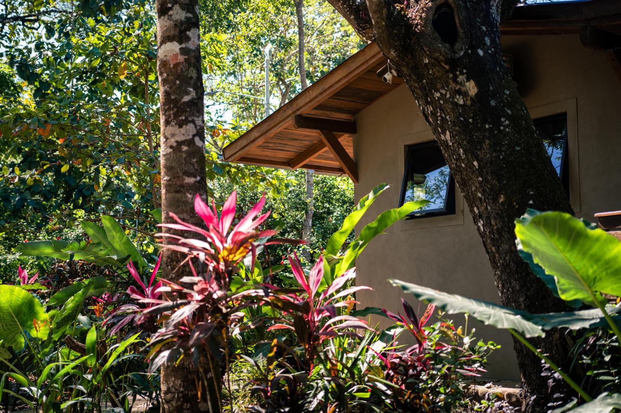 Feeling Trees Jungle Lodge Cabuya  Exterior foto
